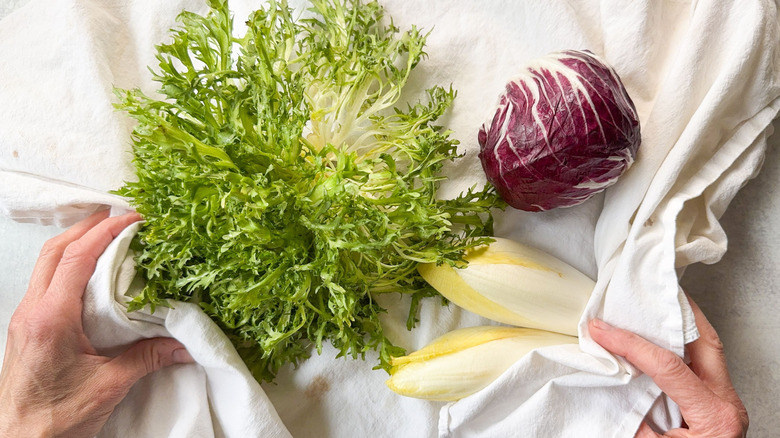 Washed frisee, radicchio, and Belgian endive on towel