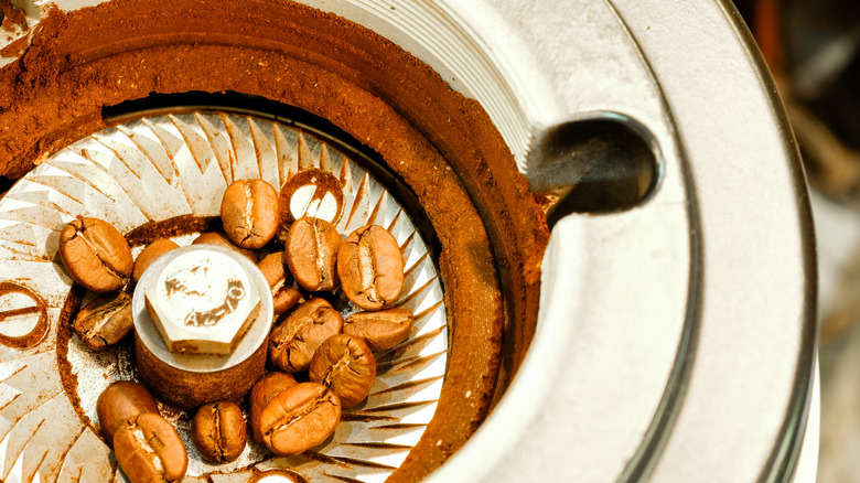 Coffee beans inside burr grinder