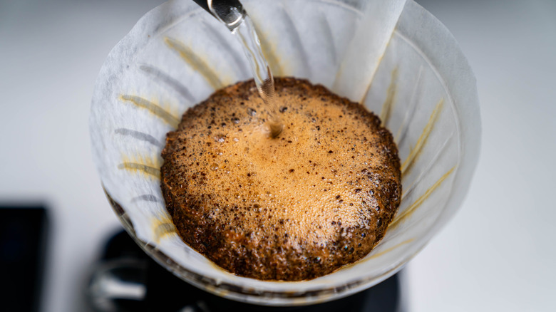 Adding water to coffee in paper filter for blooming