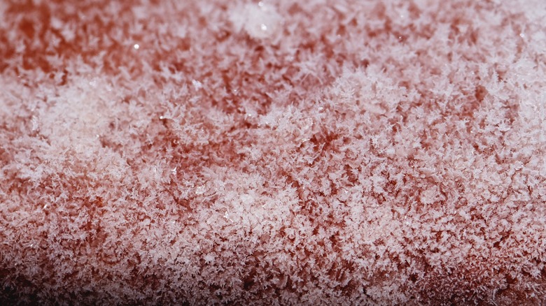 Close-up of freezer burn