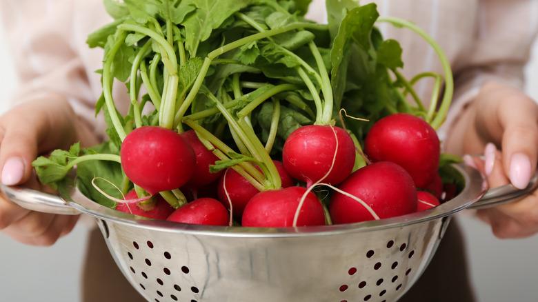 radishes in a colander