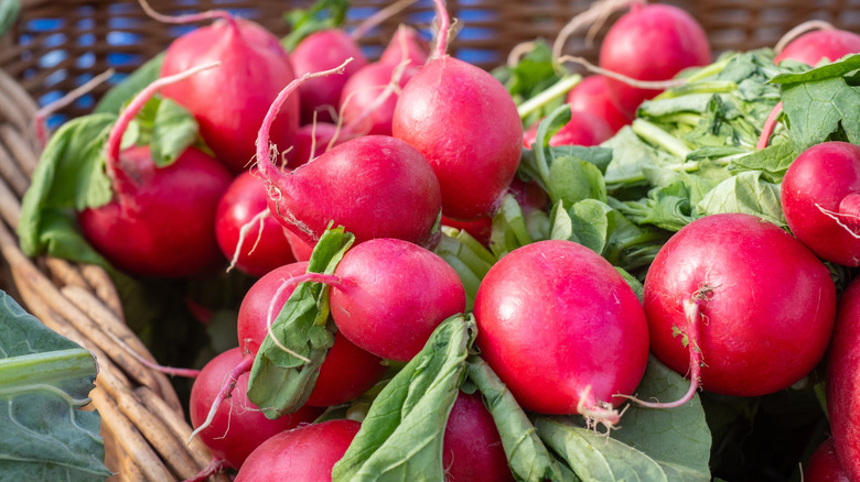 a bunch of radishes in a basket