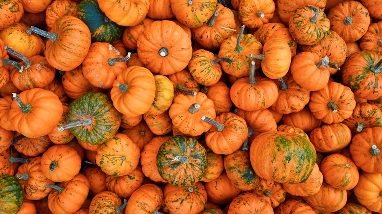 pile of pumpkins with spots