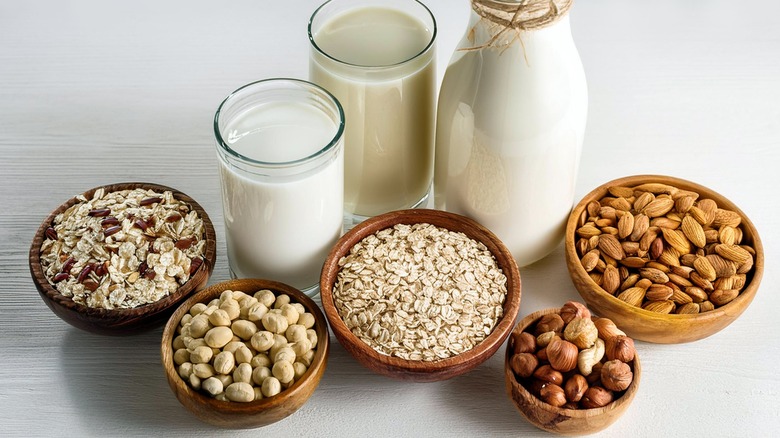 An array of non-dairy milks with bowls of nuts and grains.