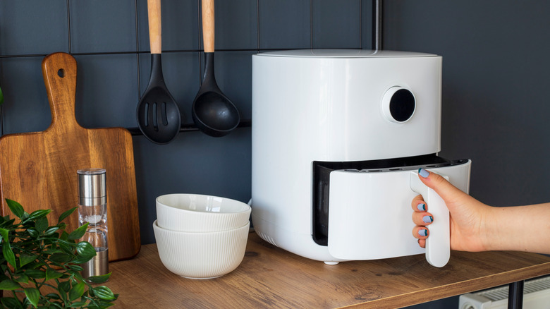 Person opening air fryer basket