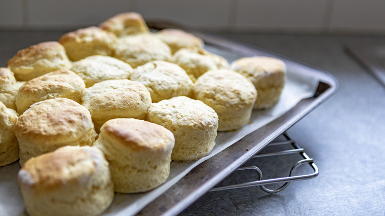 Biscuits on a sheet pan