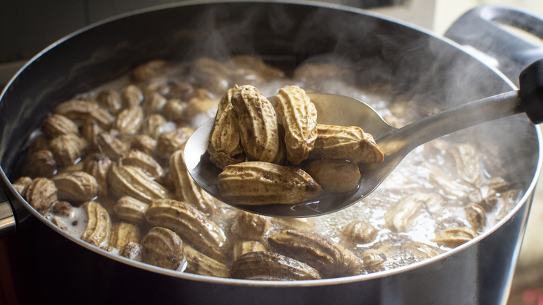 spoonful of boiled peanuts
