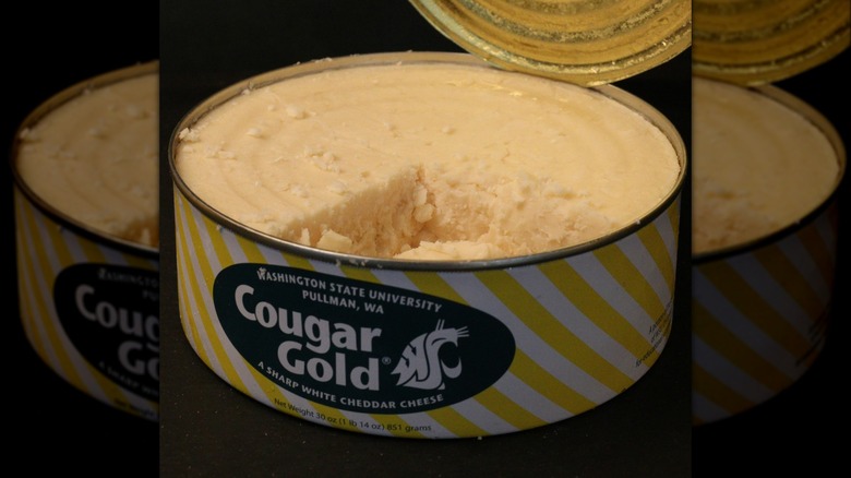 can of Cougar Gold cheese