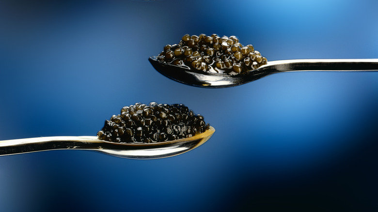 Two spoons of caviar