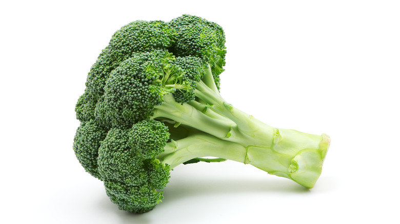 head of broccoli on white