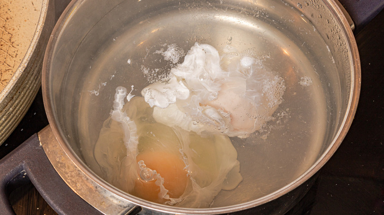 poached eggs in water