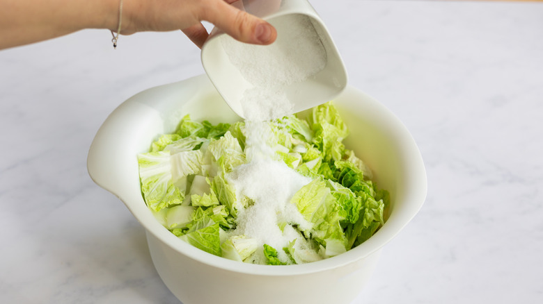 salt being added to cabbage 