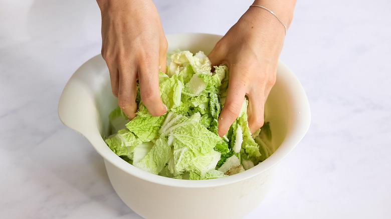 hands massaging cabbage 