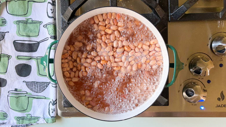 Cranberry beans boiling in pot on stove