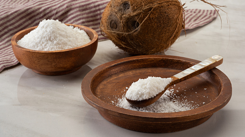 Shredded coconut displayed in spoon