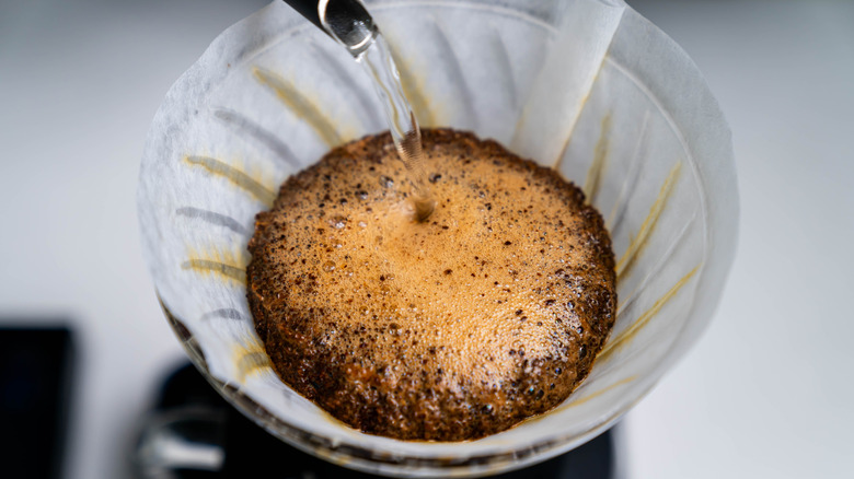 Hot water being poured over coffee grounds in a filter