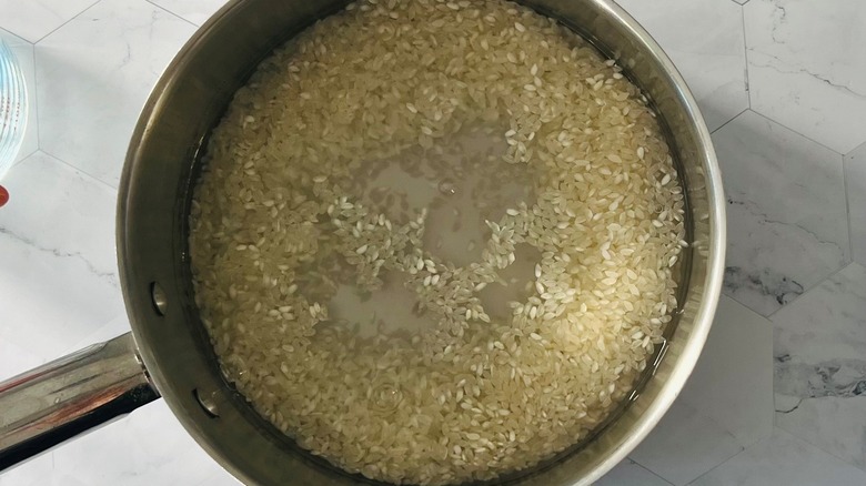 rice and water in pot