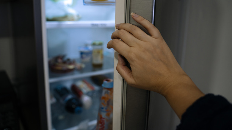 Person holding open refrigerator