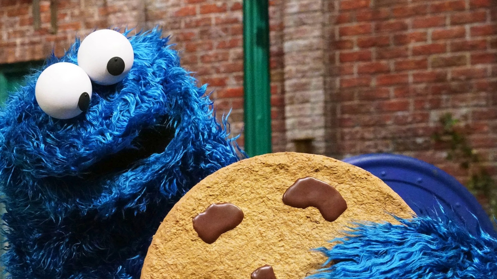 Cookie Monster has been eating rice and instant coffee this whole time
