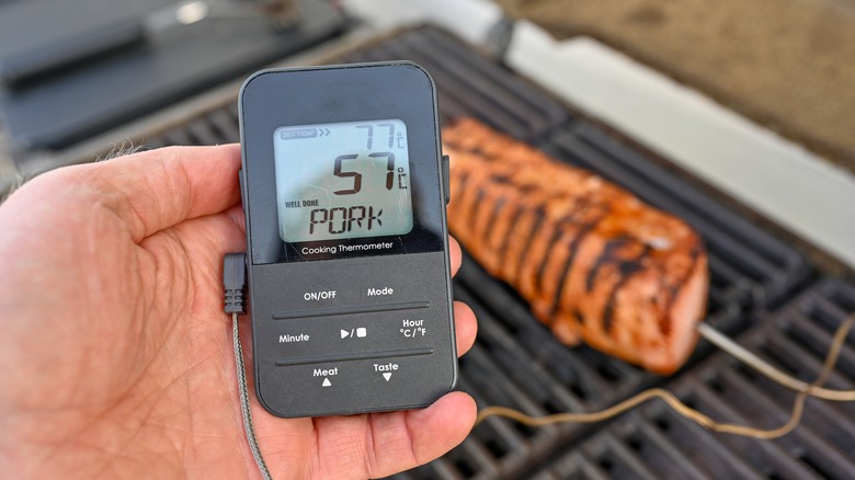 Pork with meat thermometer