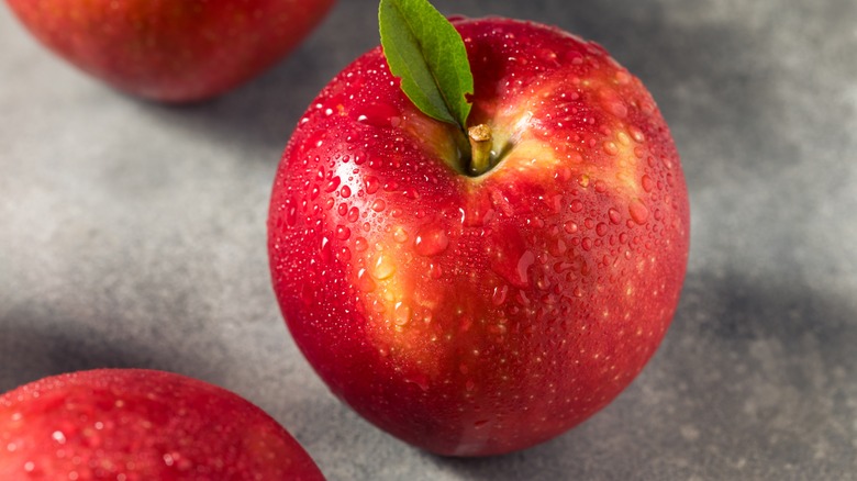 Cosmic Crisp apple closeup