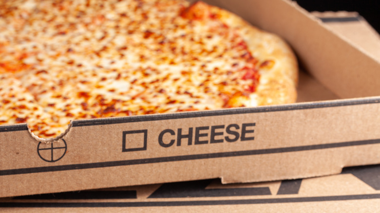 cheese pizza in cardboard box
