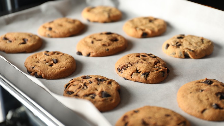 Chocolate chip cookies on a baking sheet covered in parchment paper