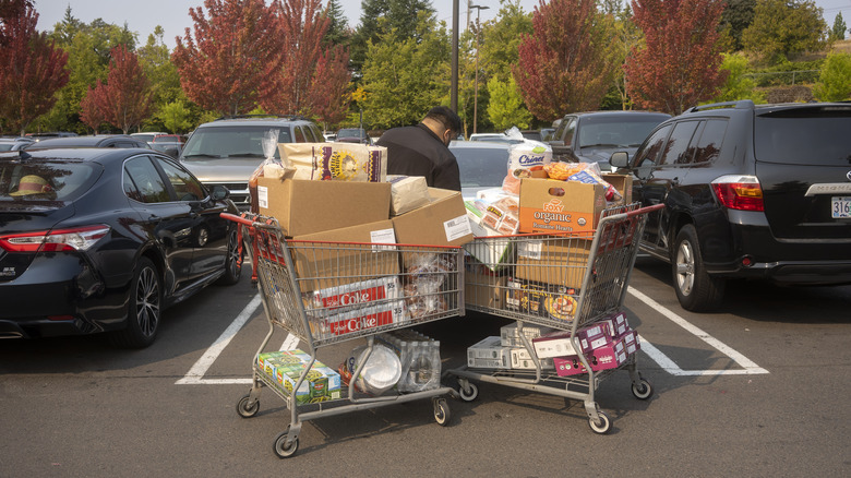 Person with Costco shopping carts
