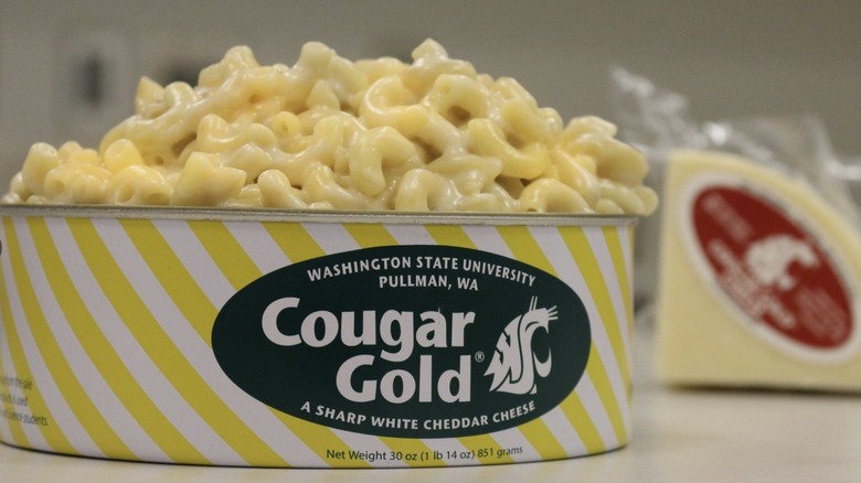 Cougar Gold can filled with mac and cheese