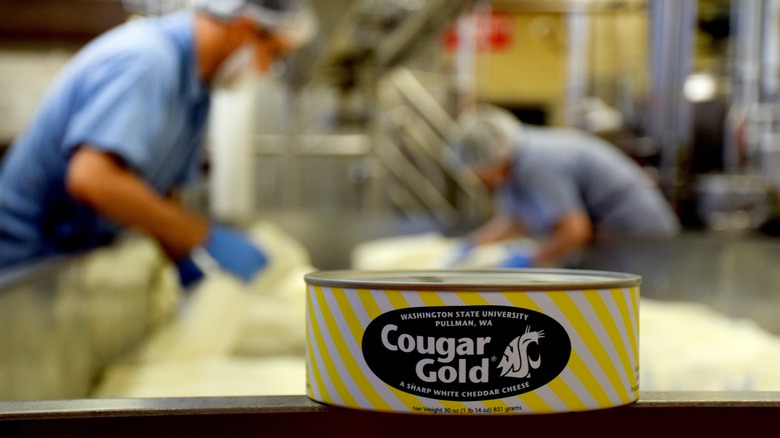 Cougar Gold cheese can at WSU facility