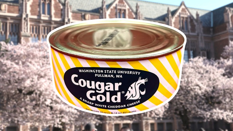 Cougar Gold Is The Award-Winning Canned Cheese Made On A College Campus