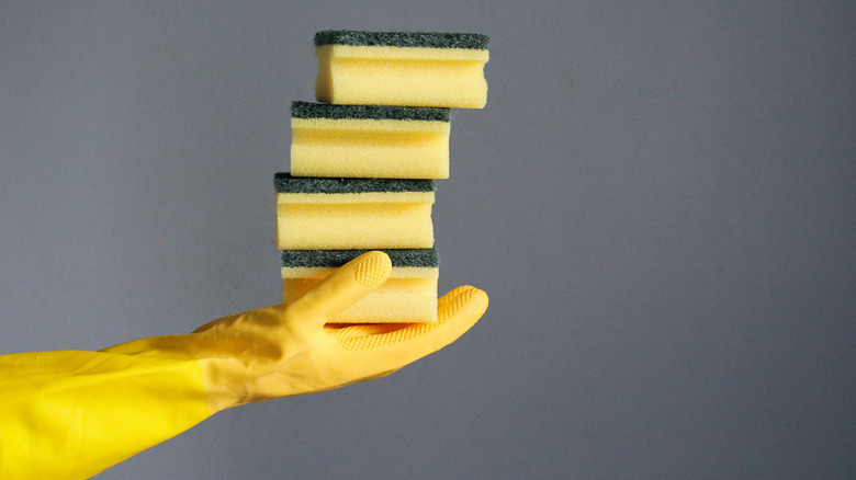 Hand holding kitchen sponges