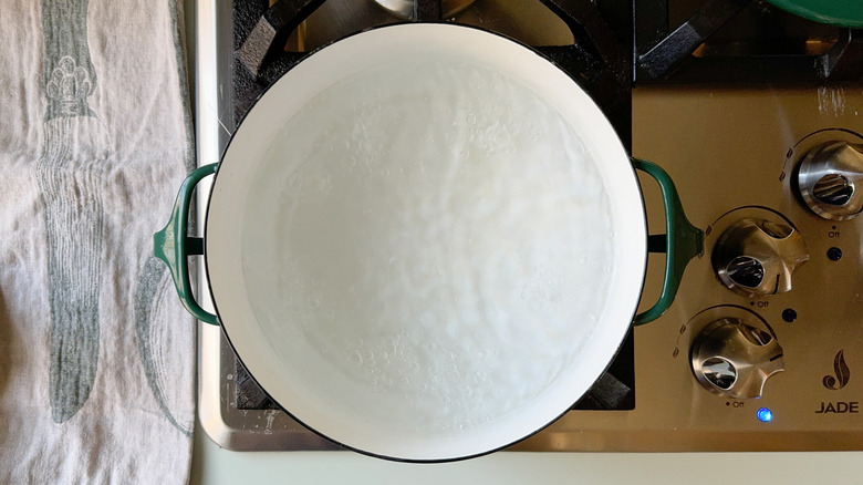 Water boiling in pot on stovetop