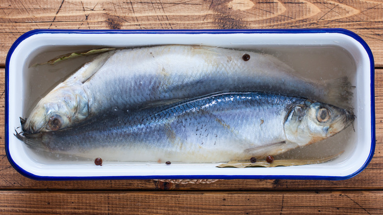 Fish in brine water