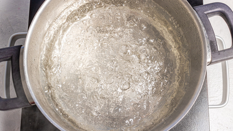 Boiling water in a pot