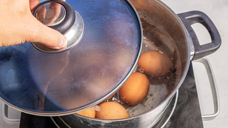 Holding a lid over a pot with eggs in water