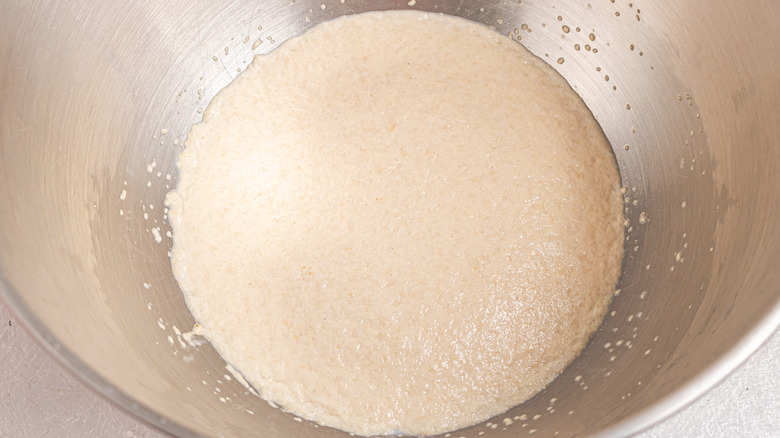 Activated yeast in a bowl