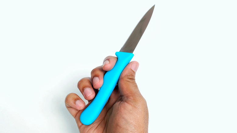 Hand holding paring knife with blue plastic handle