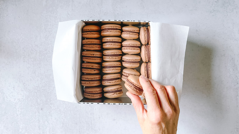 Chocolate macarons in storage container 