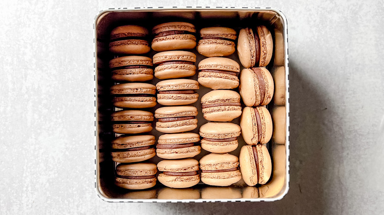 Chocolate macarons in storage container