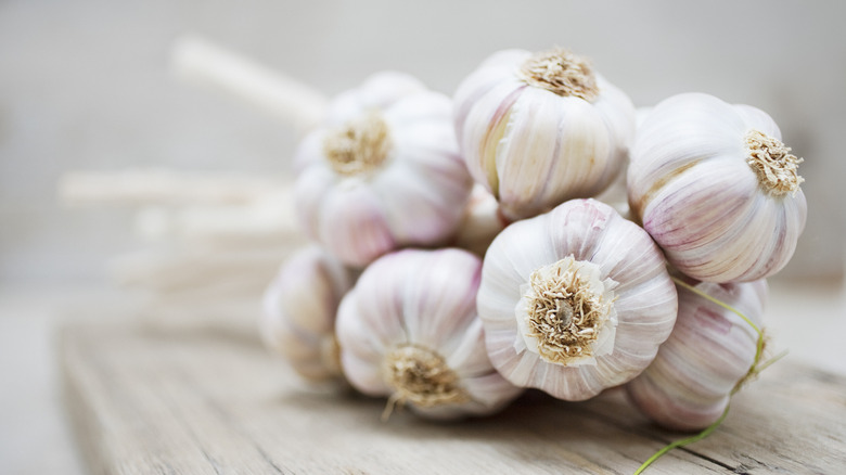 Many heads of garlic