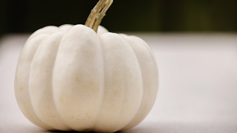 a white pumpkin against a blurred background