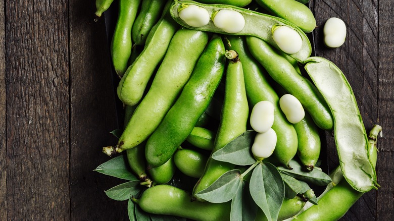 Fresh fava beans in their pods on a wooden surface