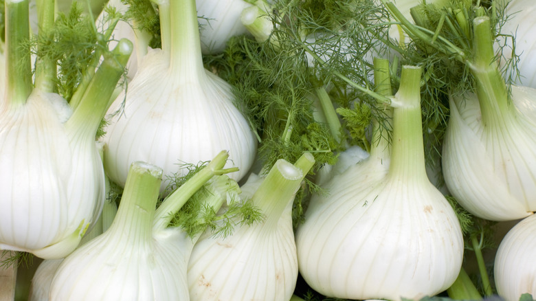 Fennel bulbs