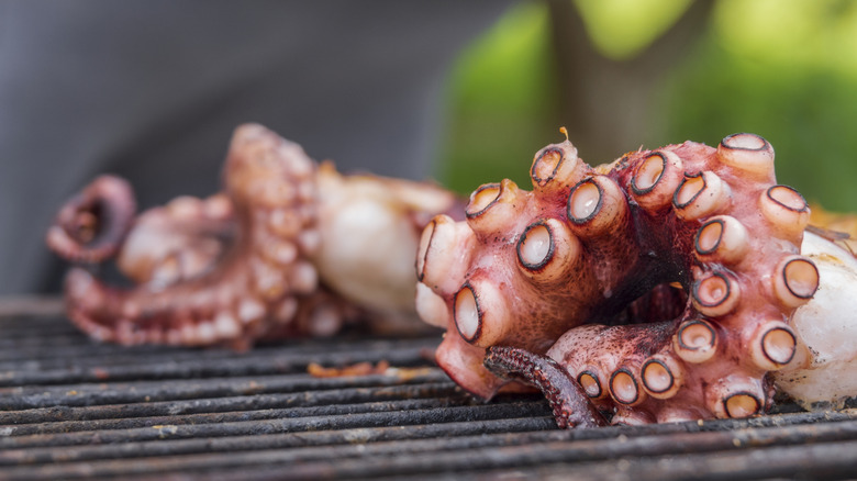 Cooked octopus arranged on a blue plate beside cutlery.