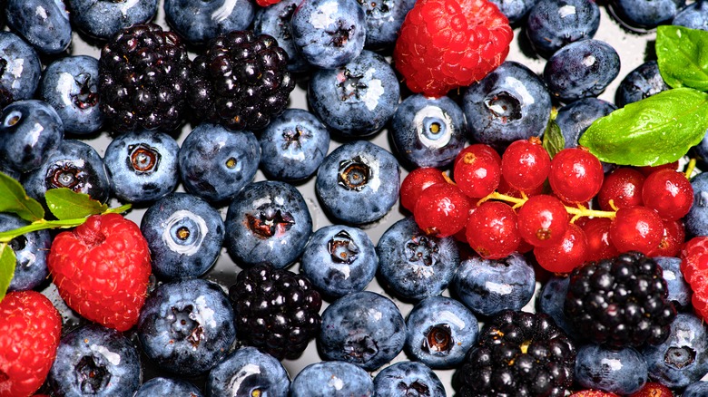 a variety of berries