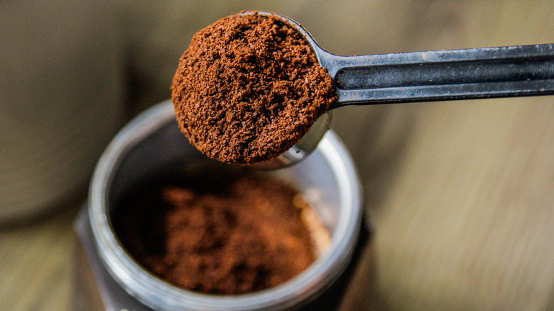 a scoop of coffee grounds