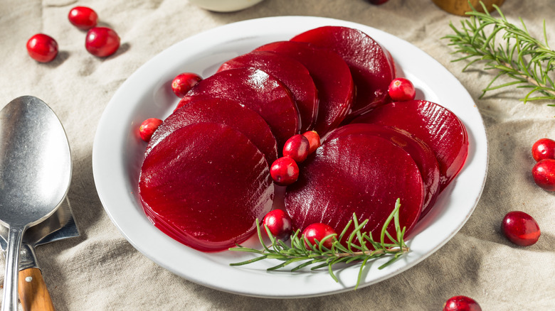 Canned cranberry sauce on plate