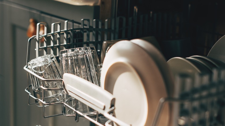 morning light hitting dishes in an open dishwasher