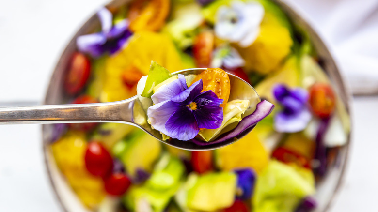 Spoon with purple flower salad